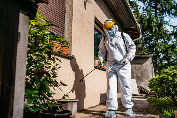 Wasp Removal Services in East Wenatchee, WA