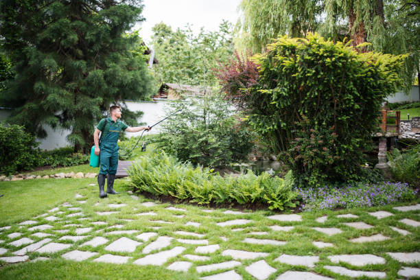 Best Termite Control Services  in East Wenatchee, WA