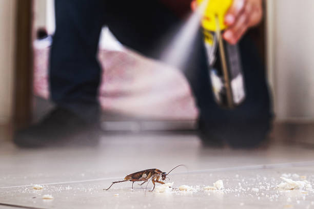 Best Mosquito Control Services  in East Wenatchee, WA